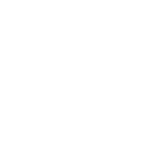 bullhorn
